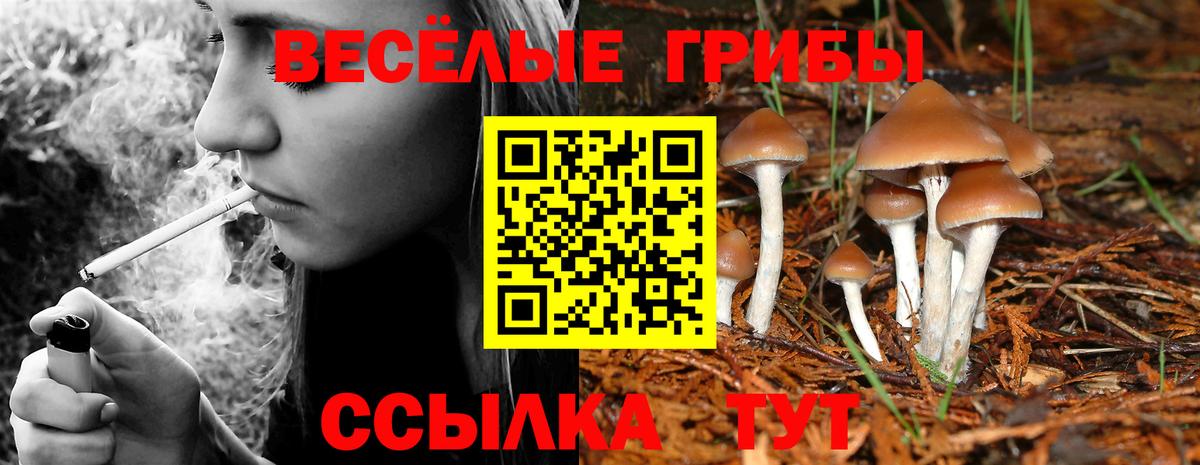 Псилоцибиновые грибы ЛСД Сибай